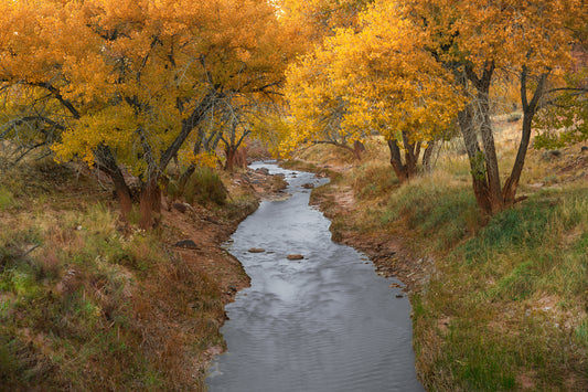 As I Went Down to the River to Pray