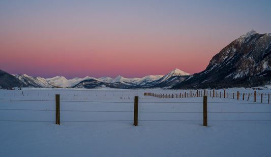 Embers of the Winter Morning